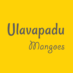Ulavapadu Mangoes
